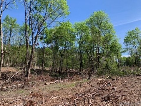 Bismarck Acreage Near Lake DeGray