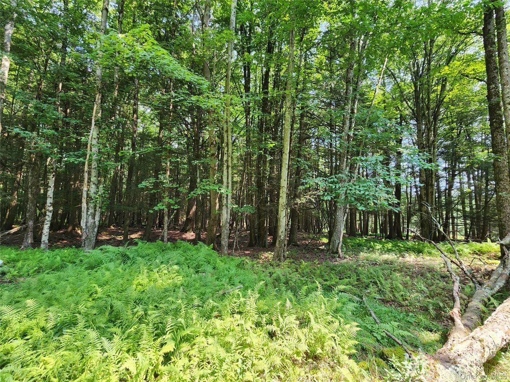 Picture 4
