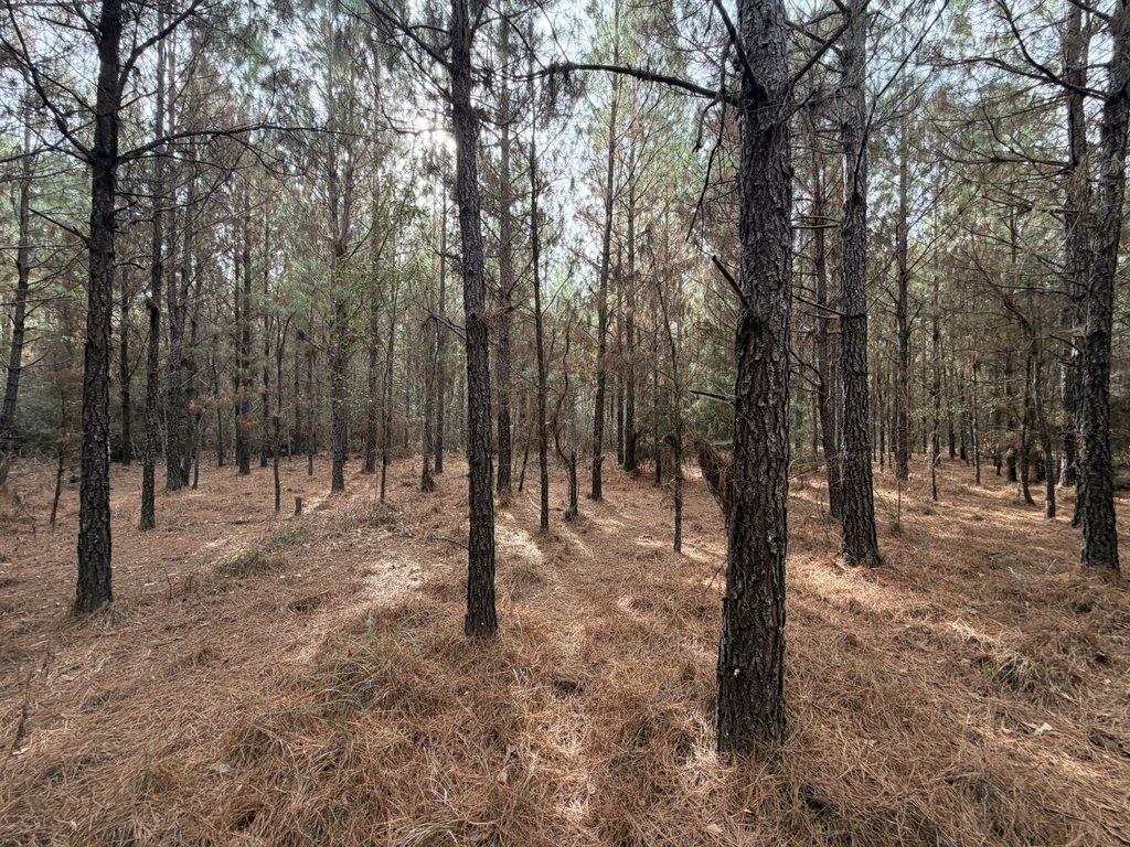 Picture 10