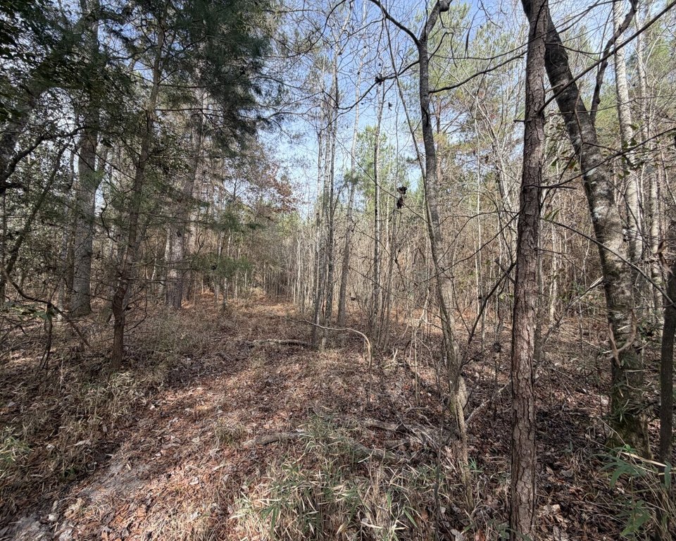 Picture 3