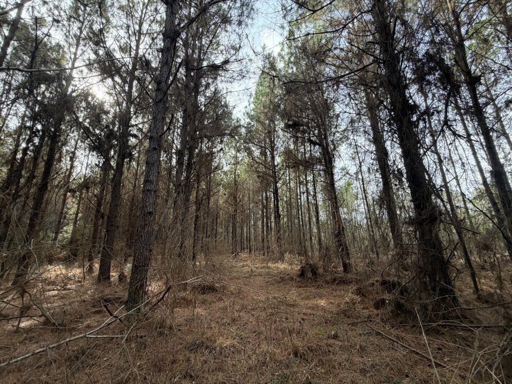 Picture 7
