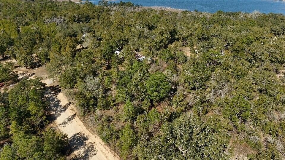 Wooded Lot in Chipley, FL