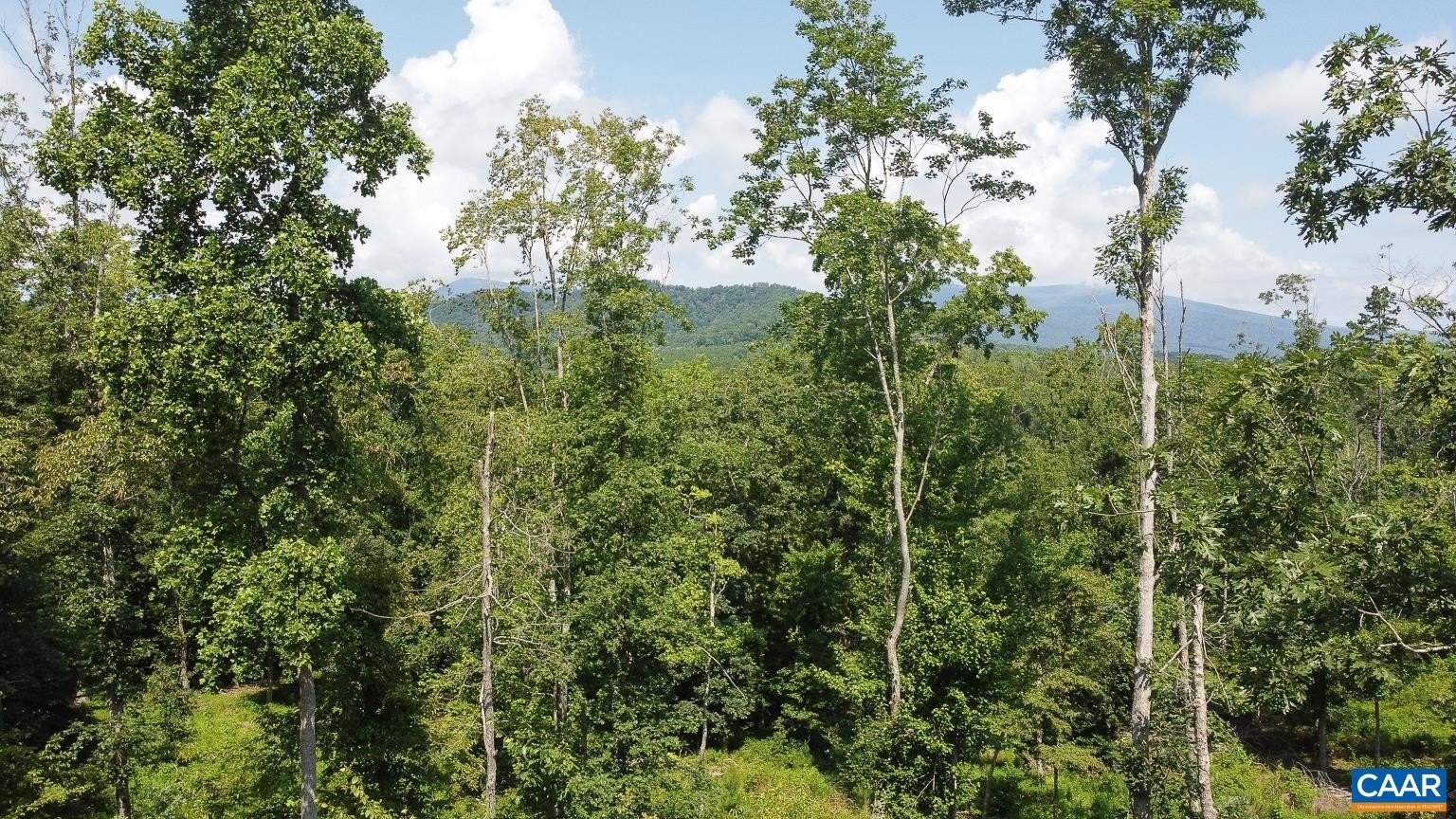 Nelson County Land with Views