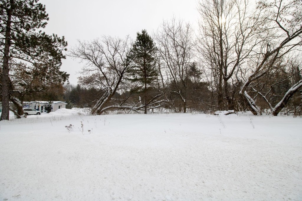 Picture 29