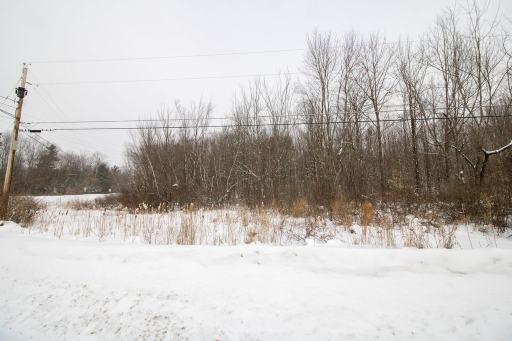 Picture 22