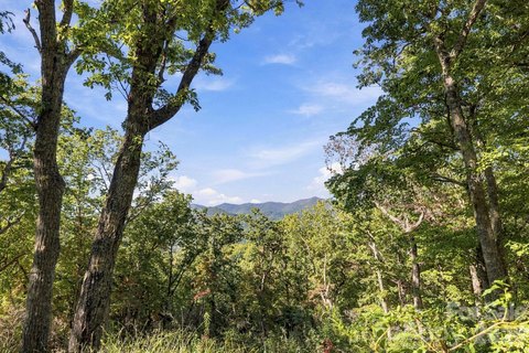 Land, Swannanoa, NC