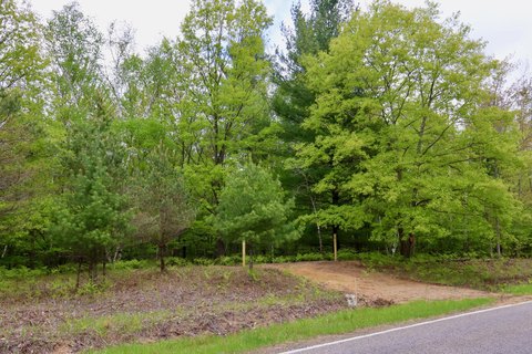 20 Acres of Hunting Land