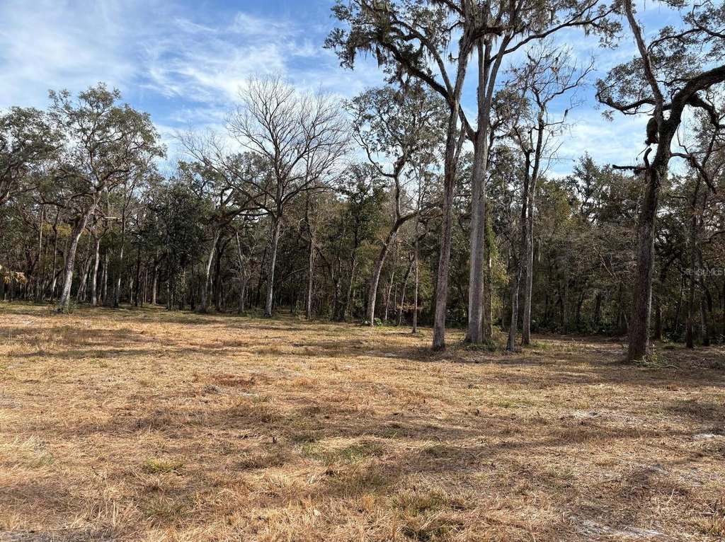 Picture 8