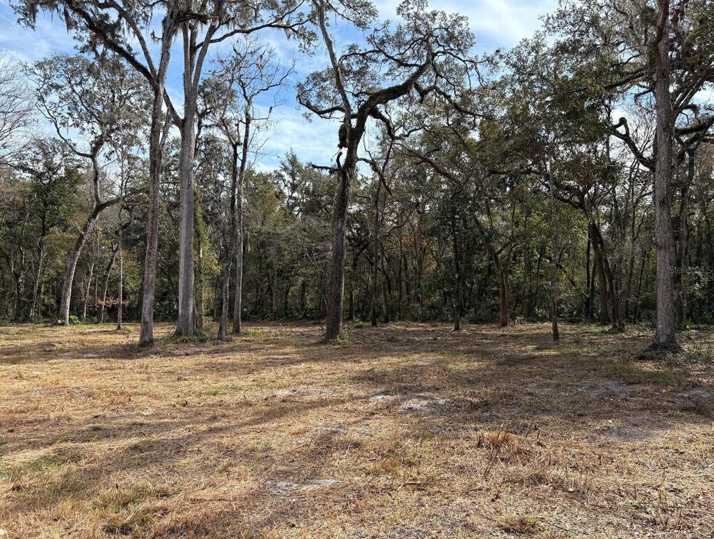 Picture 12