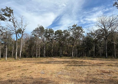 Land, BROOKSVILLE, FL