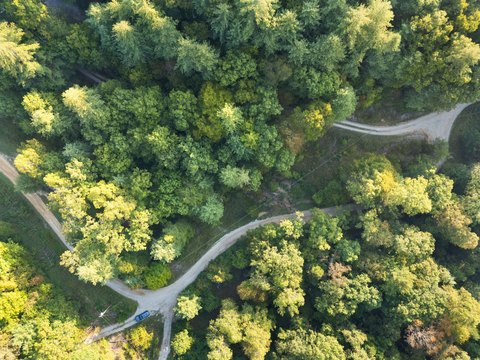 Land Near Red River Gorge