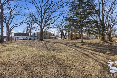 Two Vacant Lots in Trenton