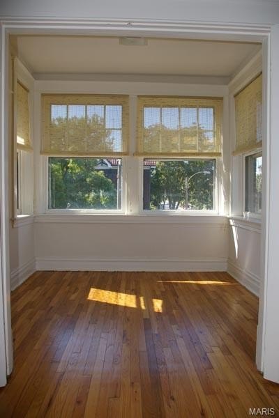 Picture 8