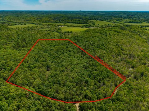 Secluded Wooded Land Near Highway