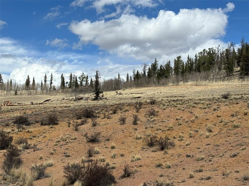 Picture 15