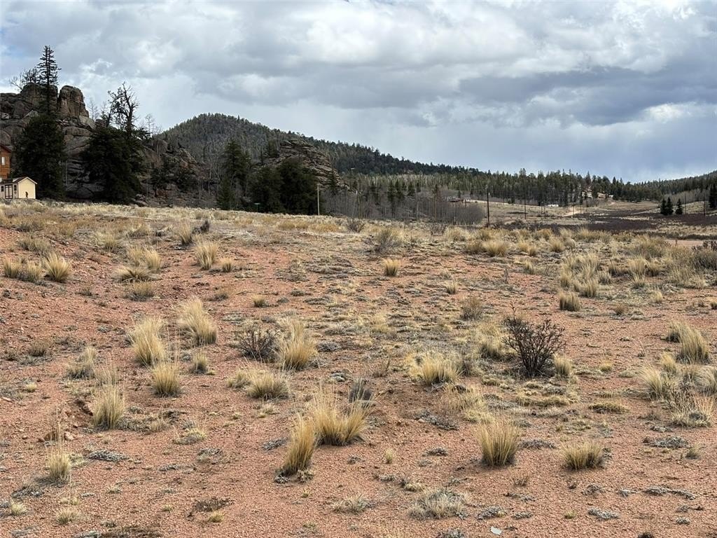 Picture 13