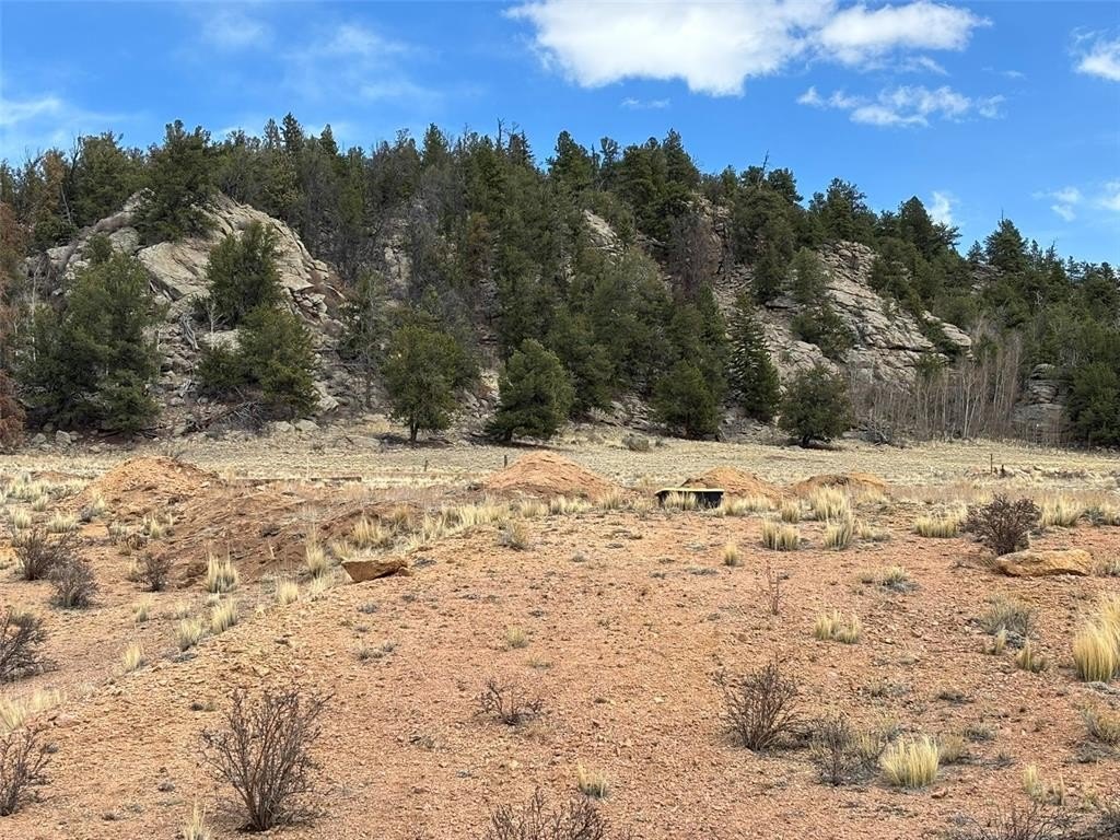 Picture 14