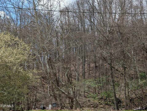 Mountain Land Near Duffield, VA
