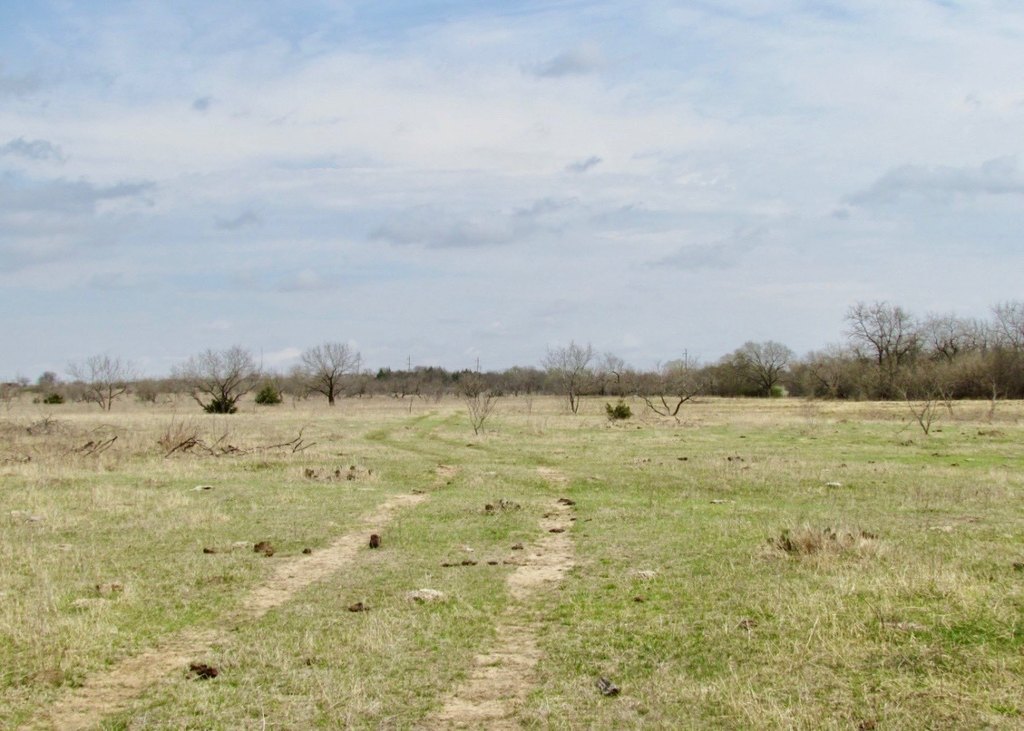 Picture 17
