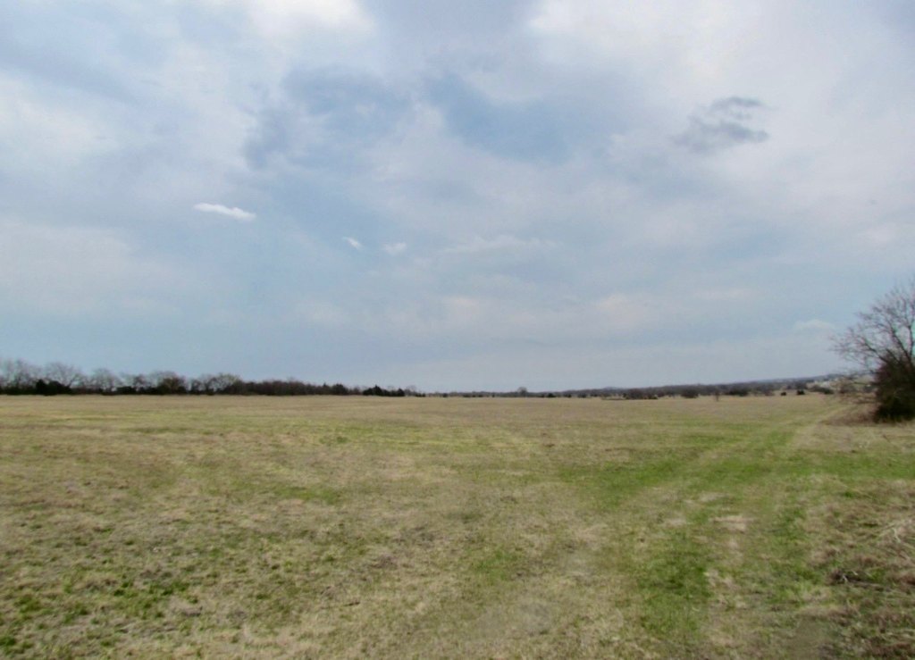 Picture 10