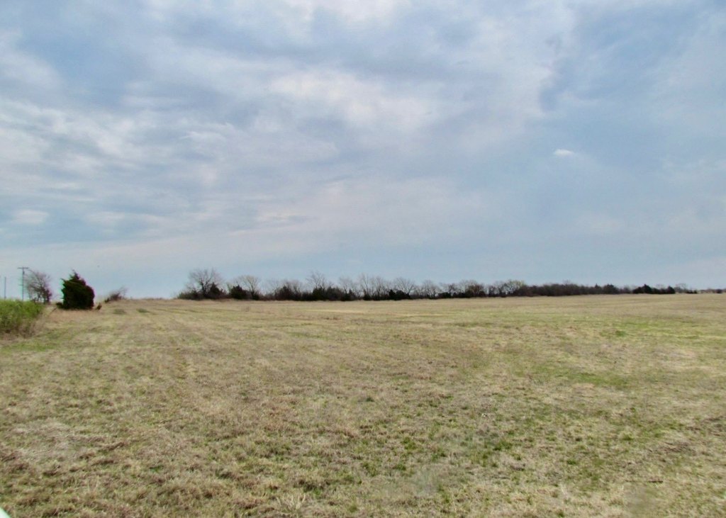 Picture 8