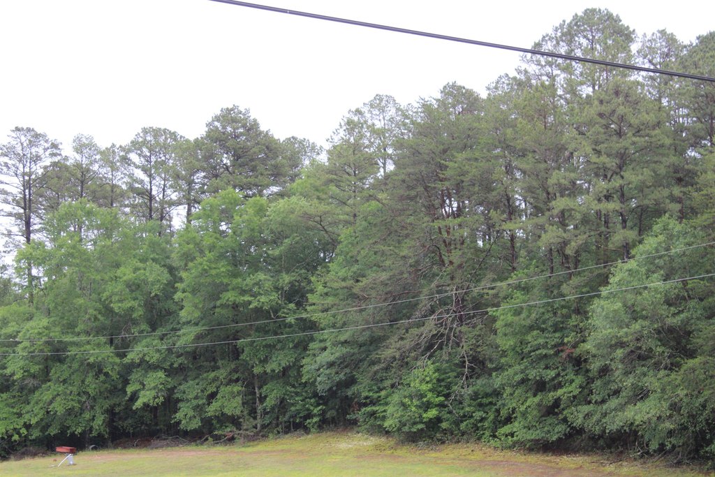 Picture 3