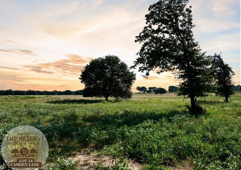 Cleared Acreage Homesite with Ready Pad