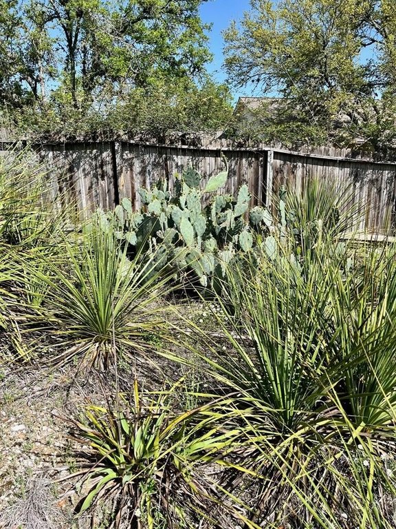 Picture 21