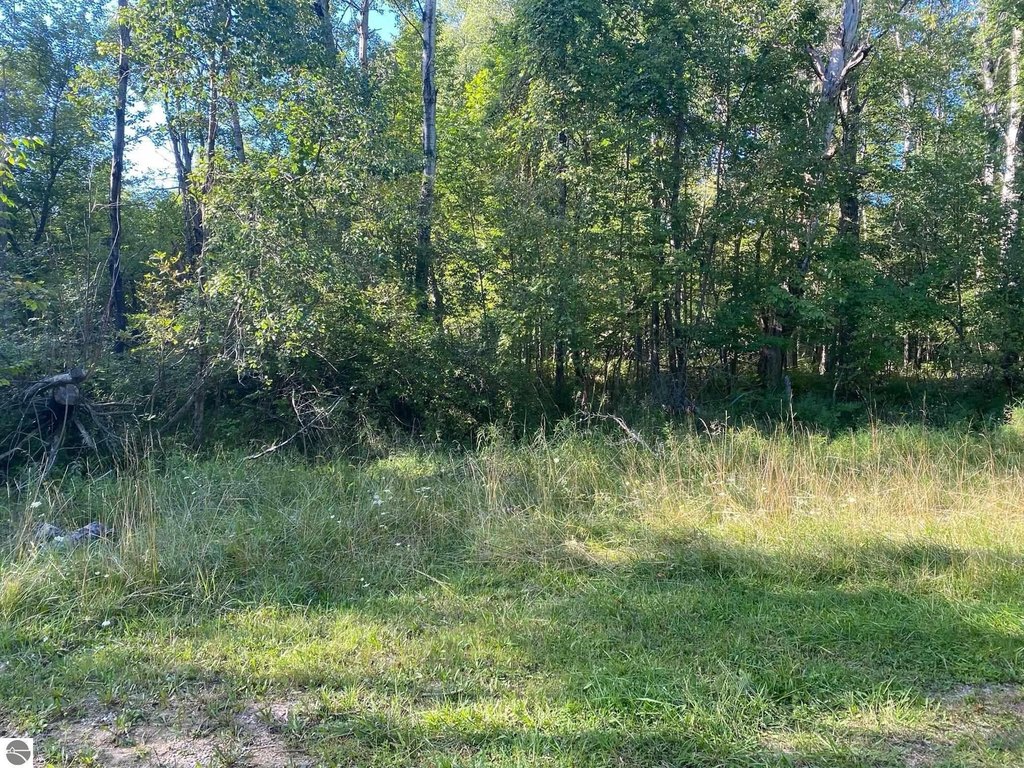 Picture 9