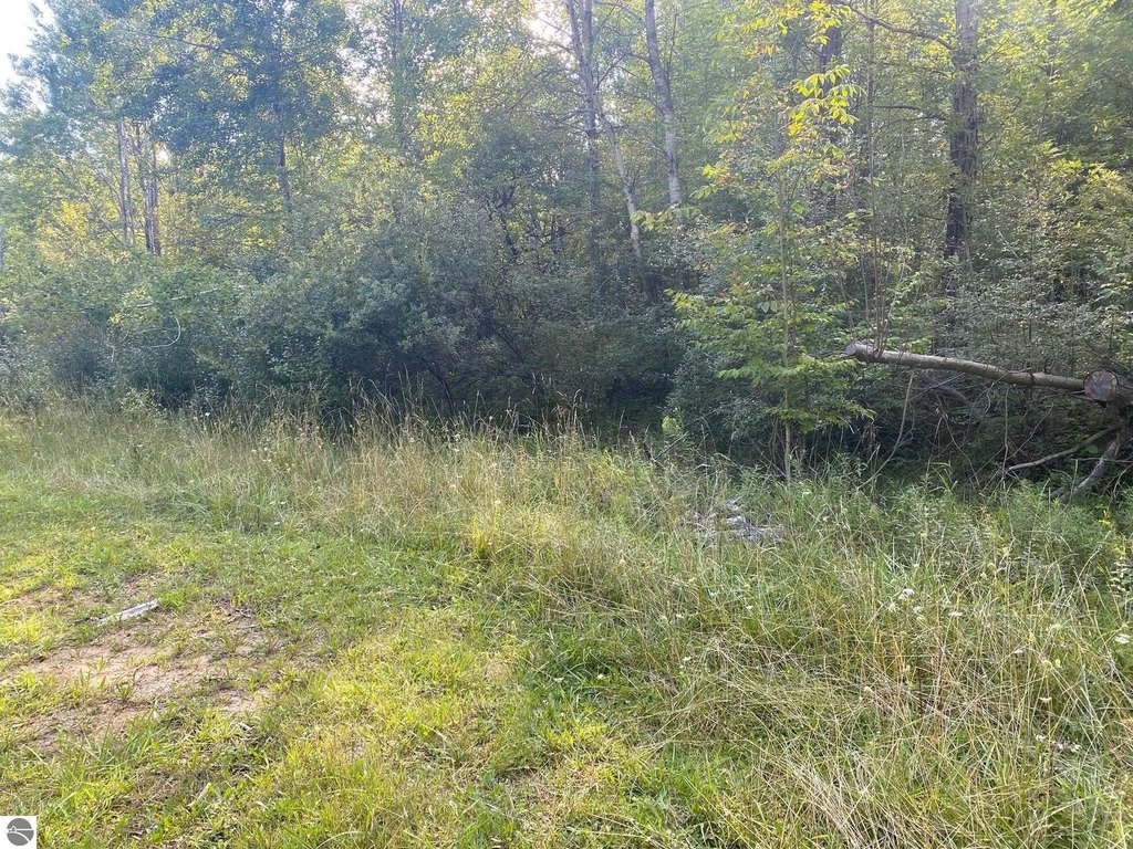 Picture 13