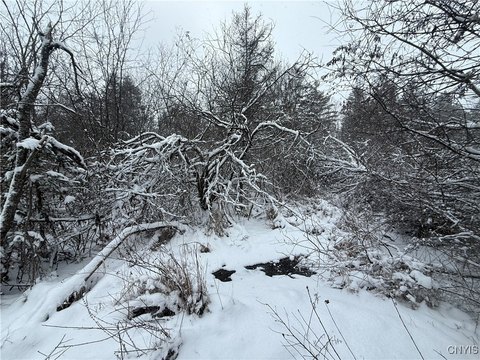Wooded Land in Theresa, NY