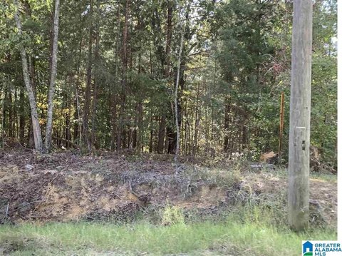 LAND - PINSON, AL