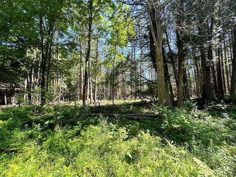 LAND - Wilmington, NY