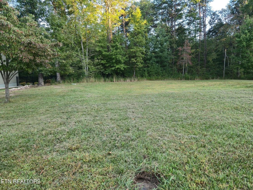 Picture 8
