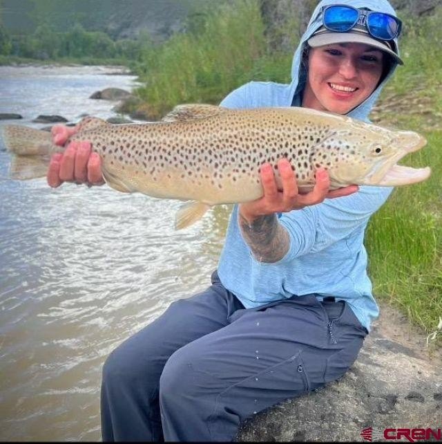 Picture 11