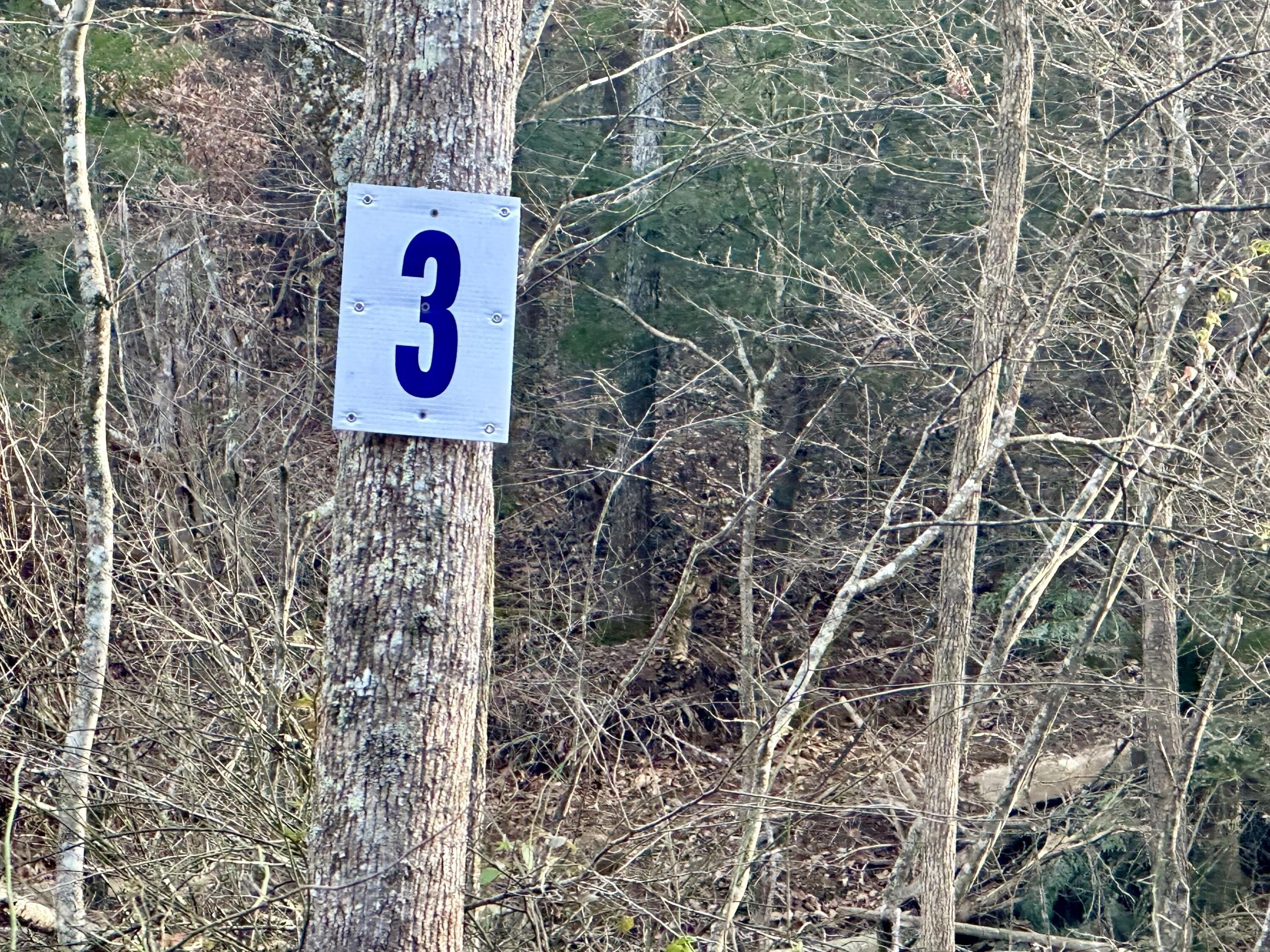 Residential Land in East Bernstadt