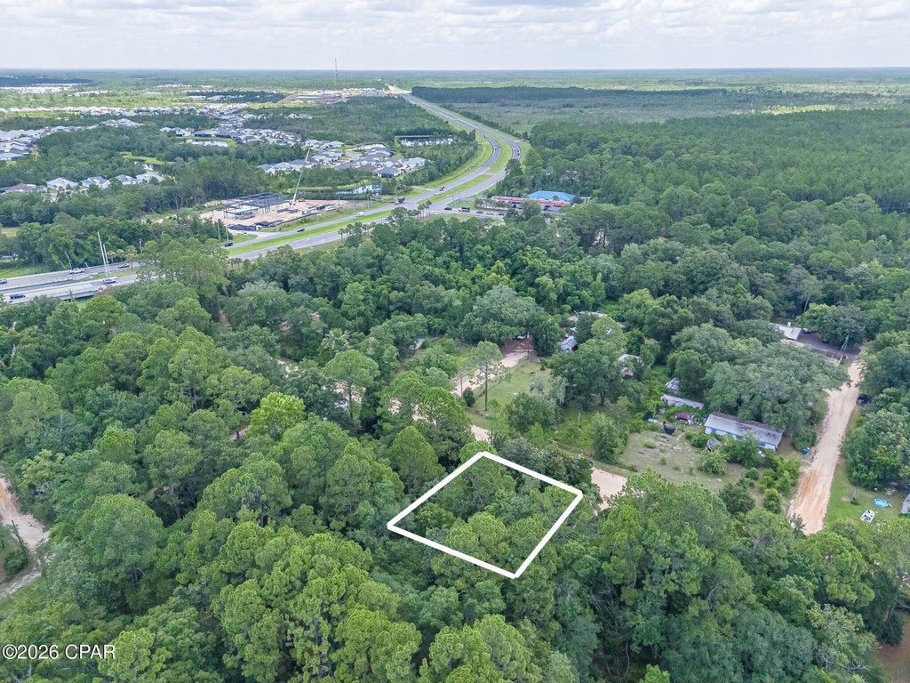 Picture 4