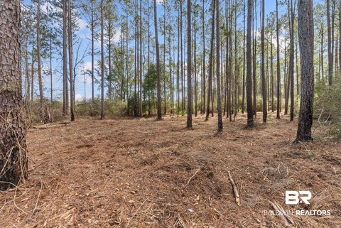 Recreation Land Parcel