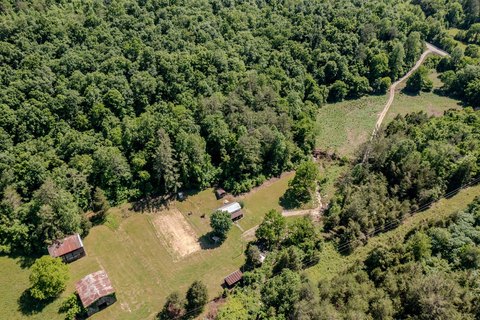Secluded Acreage in Wayne County
