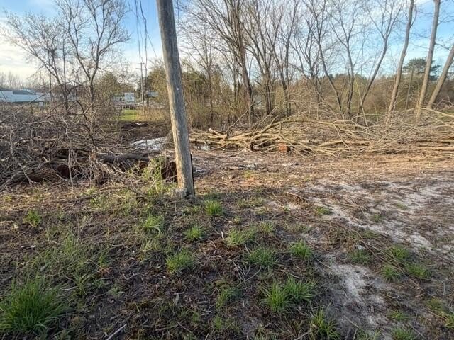 Picture 3