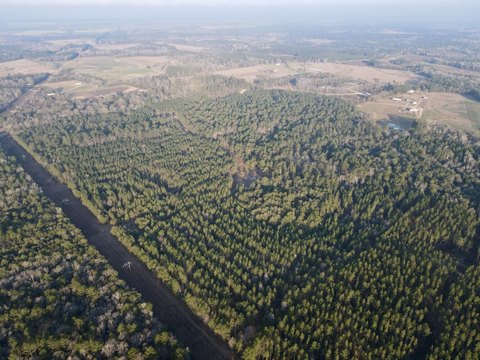 Acreage with Road Frontage for Homesite