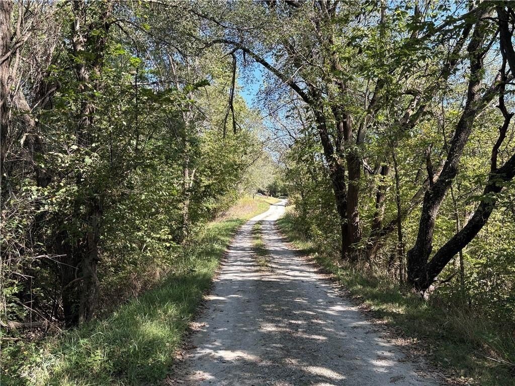 14+ Acres with Utilities