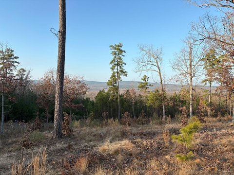 Land with Panoramic Views