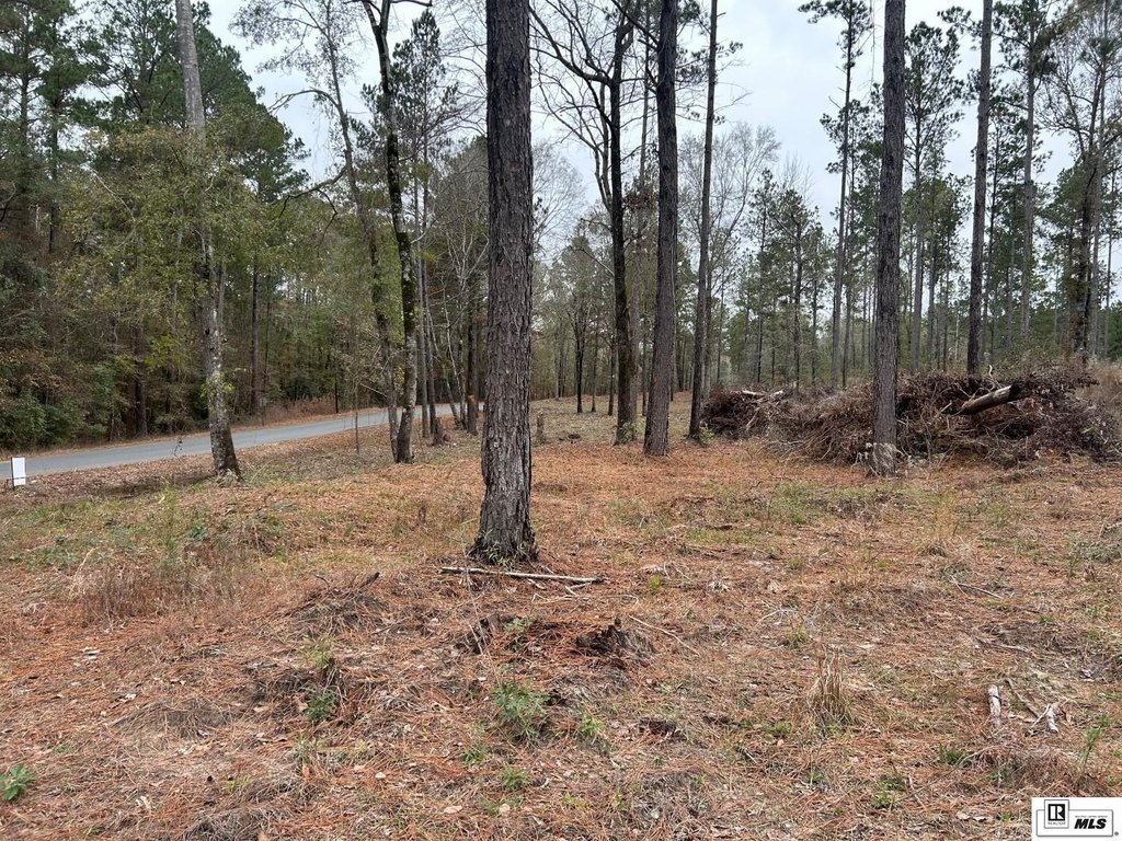 Picture 2