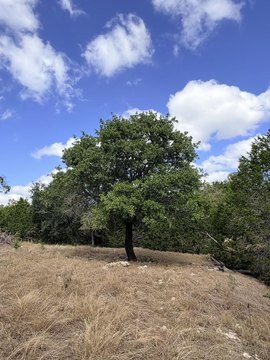 Land, Fredericksburg, TX