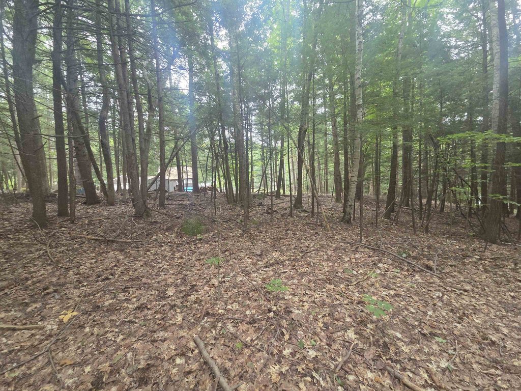 Picture 10