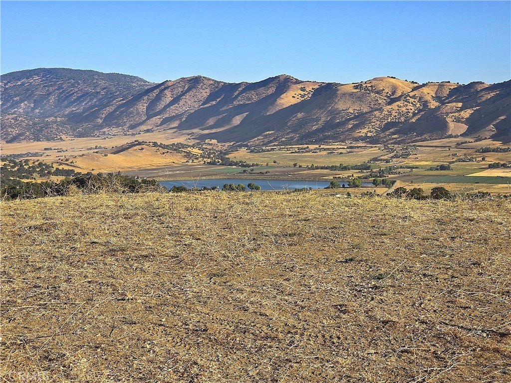 Picture 32