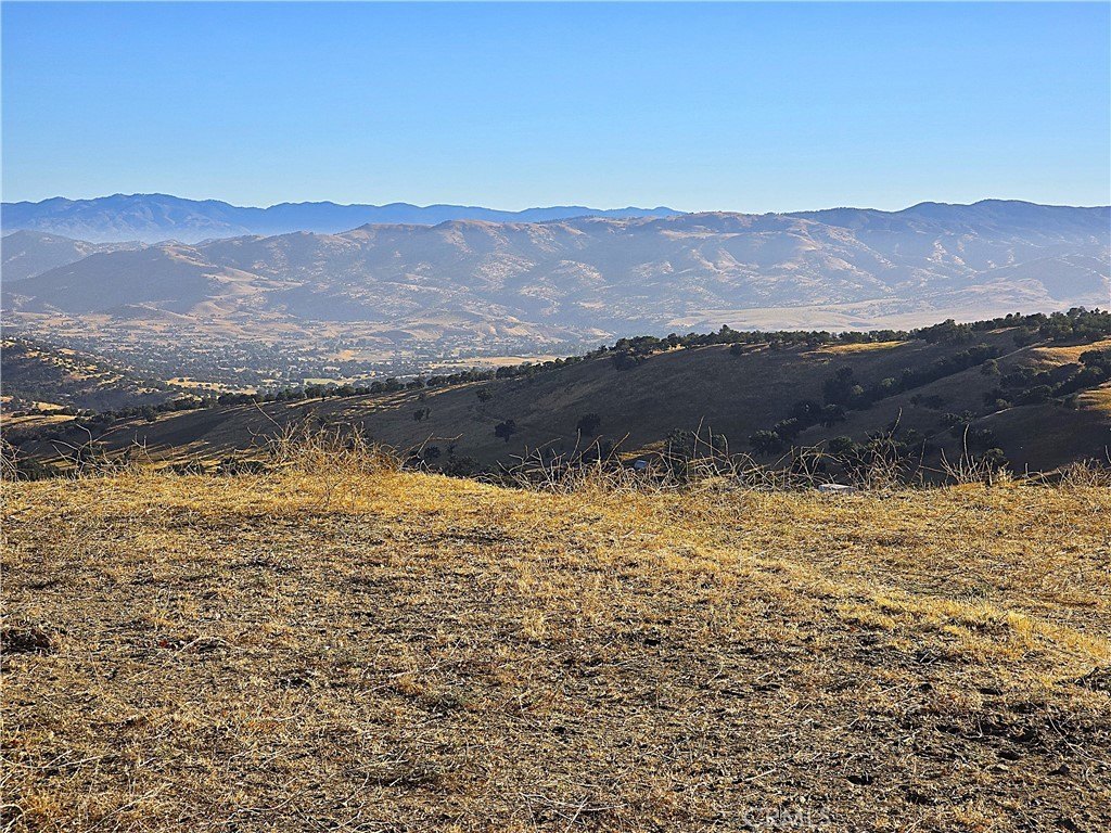 Picture 34