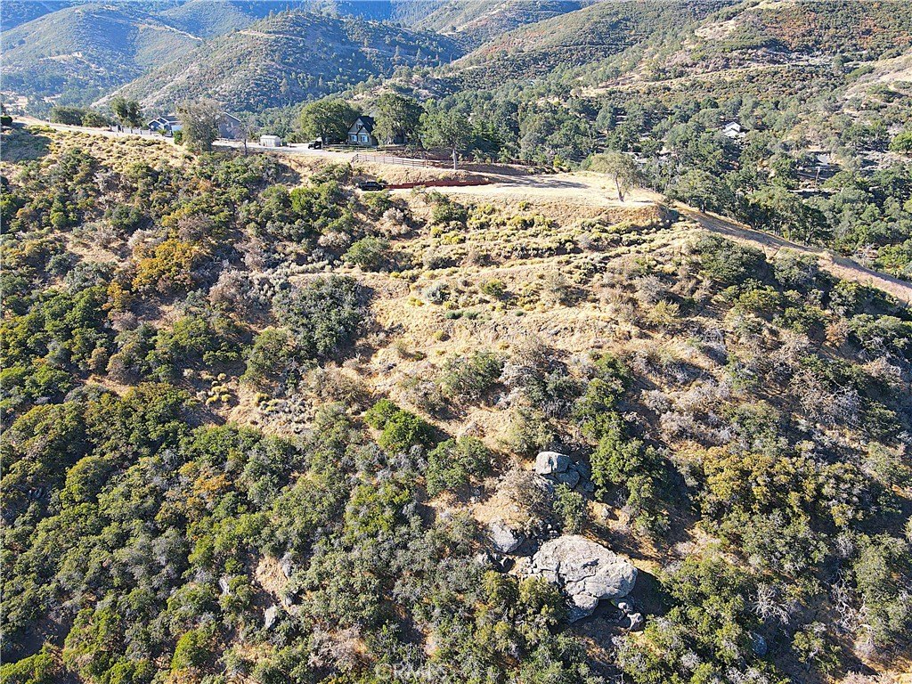 Picture 36