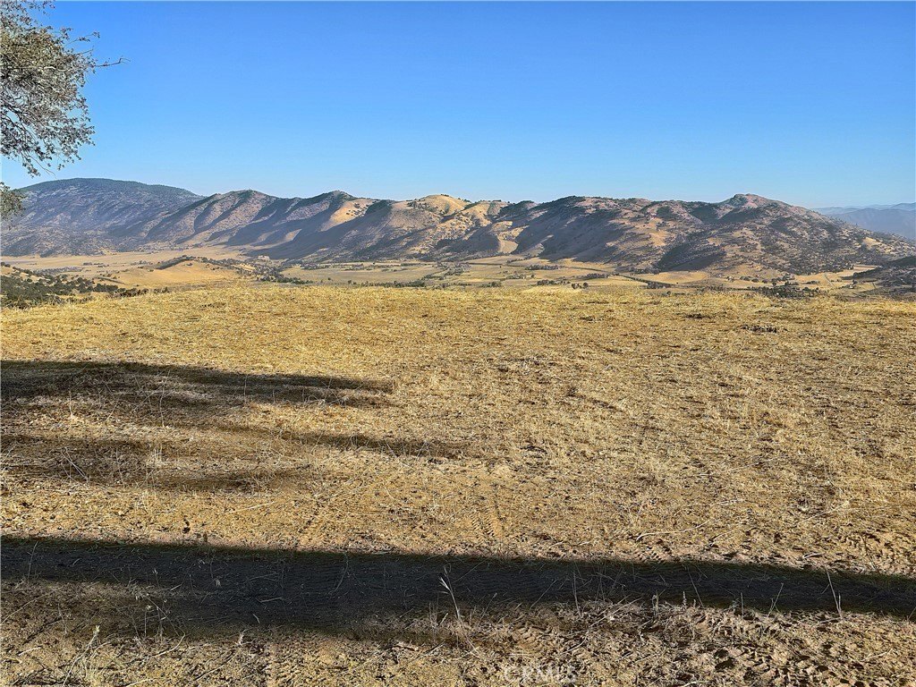 Picture 31